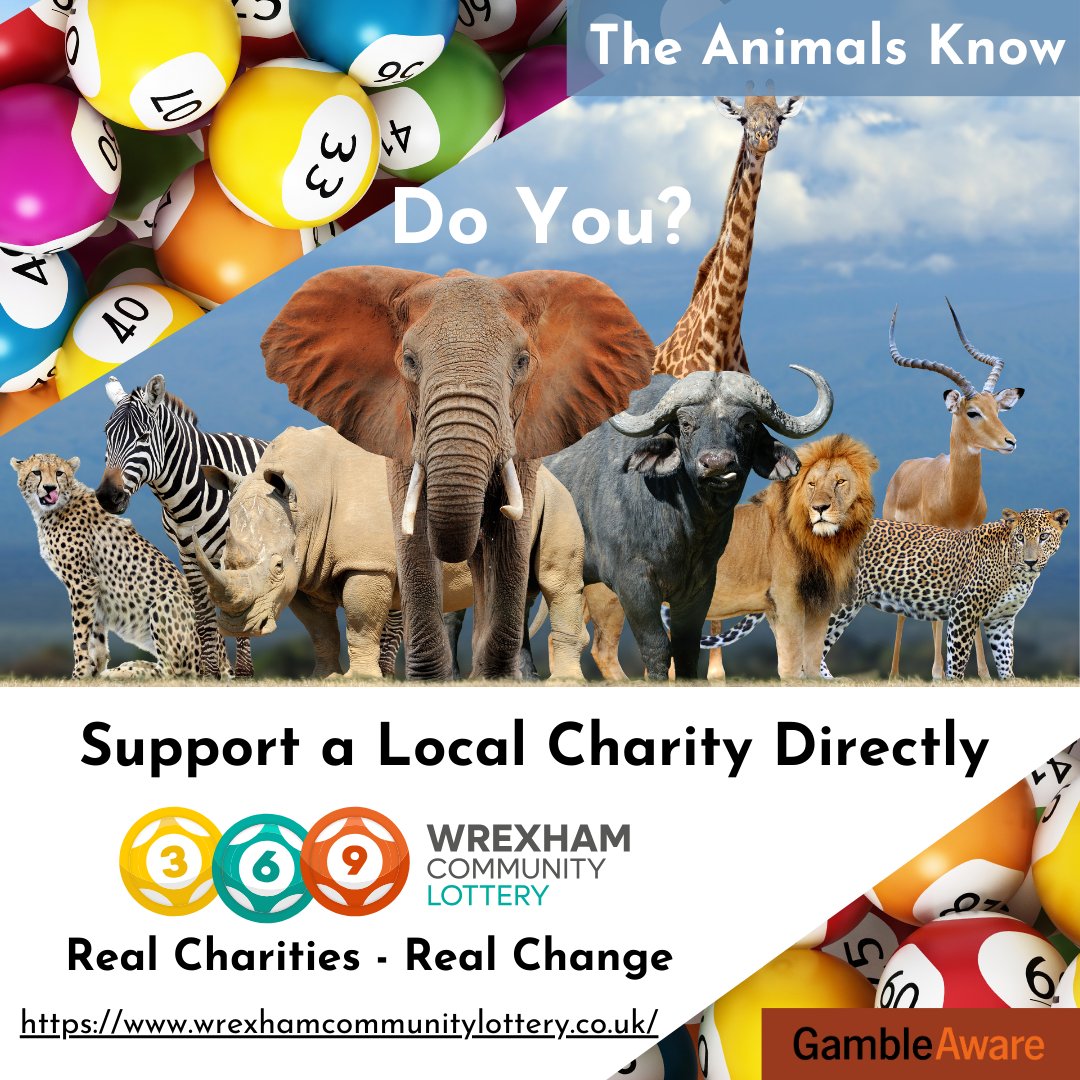 Did you know that you can support a local charity or good cause by joining the Wrexham Community Lottery? 60% of each ticket goes directly to local charities. You can even pick the cause you want to support! wrexhamcommunitylottery.co.uk/support/find-a… #Wrexham #Charity #Lottery #Community