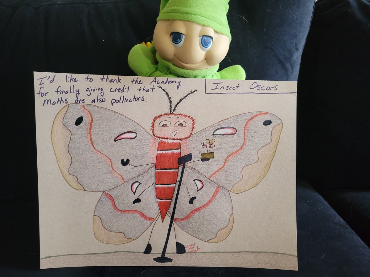 ComicsClimate's tweet image. Comic #163 #ComicsForClimate #GlowLittleGlowworm #Glimmer #moth #pollination #insects #insectextinction #NatureIsCool #pollinators #climate #climatechange #comic