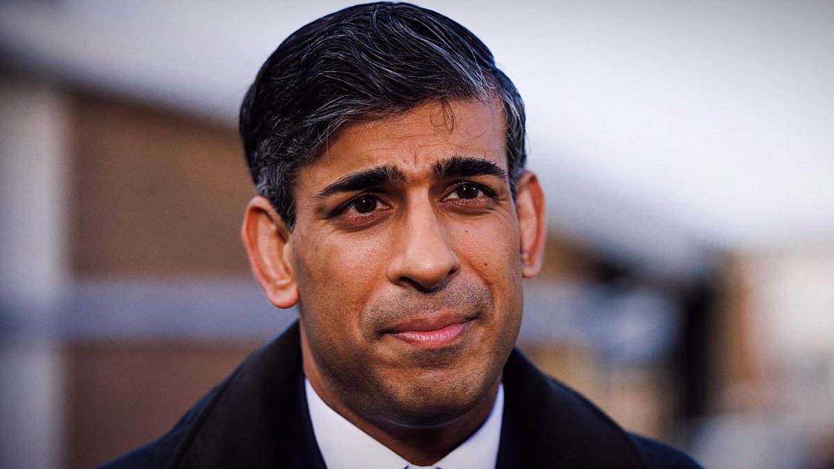 🇬🇧 Rishi Sunak called the Russian election a sham with no opposition.

The irony is that Rishi Sunak was never elected.