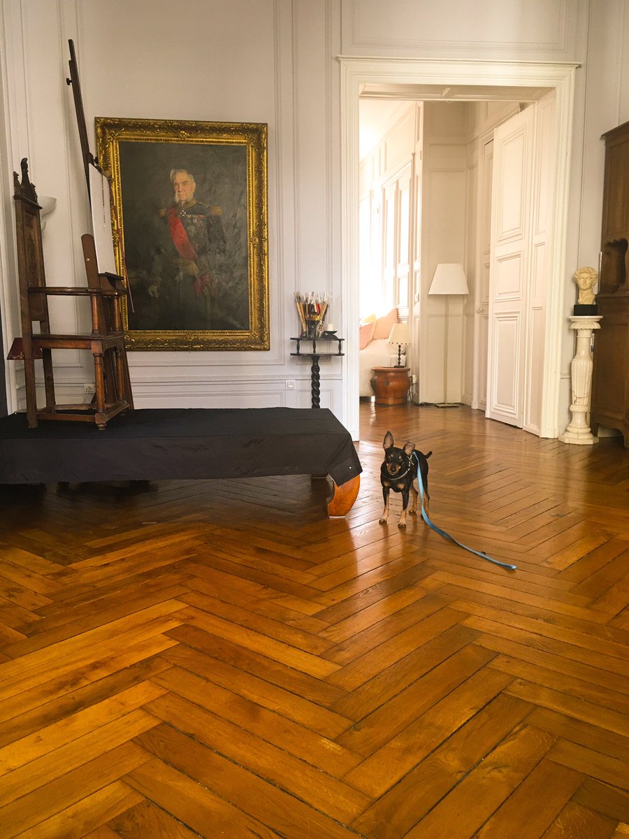 GorceKaren's tweet photo. Been working hard preparing for a new portrait & I think someone’s trying to tell me something 😅🐕
#atelier #artiststudio #oilpainting #portraiture #art #dogs #littlebeast #MondayMood https://t.co/zVYjvUwkSY
