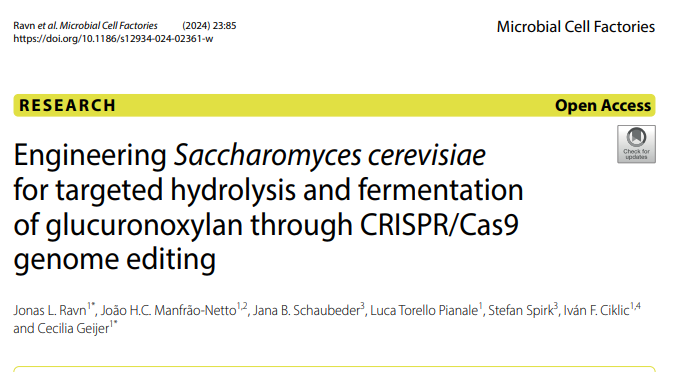 Check out the latest paper from Indbio where the authors equipped xylose-fermenting S. cerevisiae strain with xylanolytic enzymes targeting beechwood glucuronoxylan: 
…robialcellfactories.biomedcentral.com/articles/10.11…