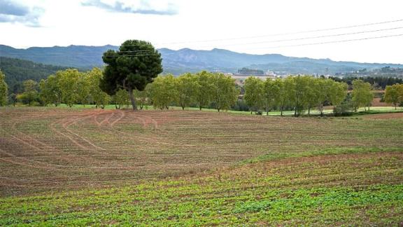 diba's tweet image. 🌳El @ParcConca s’adhereix a la nostra Xarxa de Banc de Terres. Amb aquesta incorporació, reafirmem el compromís amb l’agricultura sostenible, la seguretat alimentària i la conservació del paisatge #som311 #ODSDiba #BCNSmartRural

✅️bit.ly/bancterresPACO