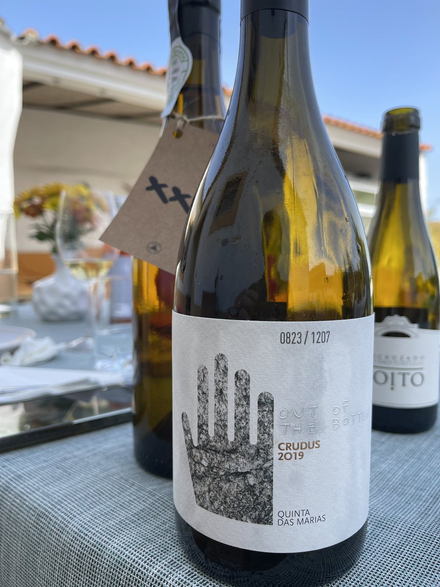 Que excelente encruzado do dão, um vinho fora da caixa, envelhecido em barricas austríacas 

🍇100% Encruzado
📍DOC Dão
🍷 13%

#vinhosdotwitter