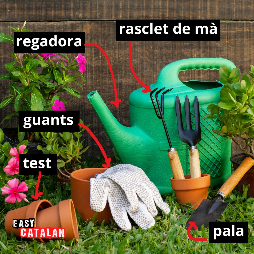 EasyCatalan's tweet photo. Quines plantes tens al #jardí?
Mira’t les paraules d’avui:
rasclet de mà // hand rake // rastrillo de mano
regadora // watering can // regadera
guants // gloves // guantes
pala // shovel // pala
test, torreta, torratxa, cossiet, cossiol // flowerpot // maceta
#rasclet #pala https://t.co/9HDlgOoOk7