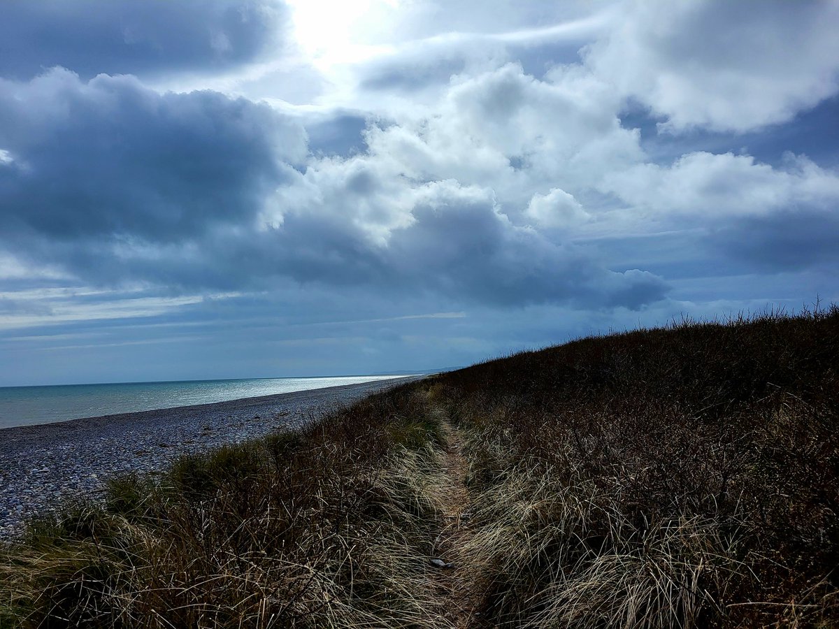 doc_arch's tweet photo. #Day75 of #100daysofwalks on coastal path from #Greystones to #Newcastle (#Wicklow).  Only on Day 75 as missed 3 days due to illness. https://t.co/tYRbQ5tzxT