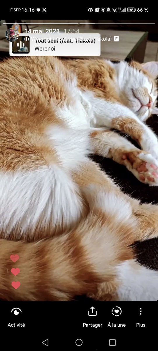 Flo 💊🫣 tweet media