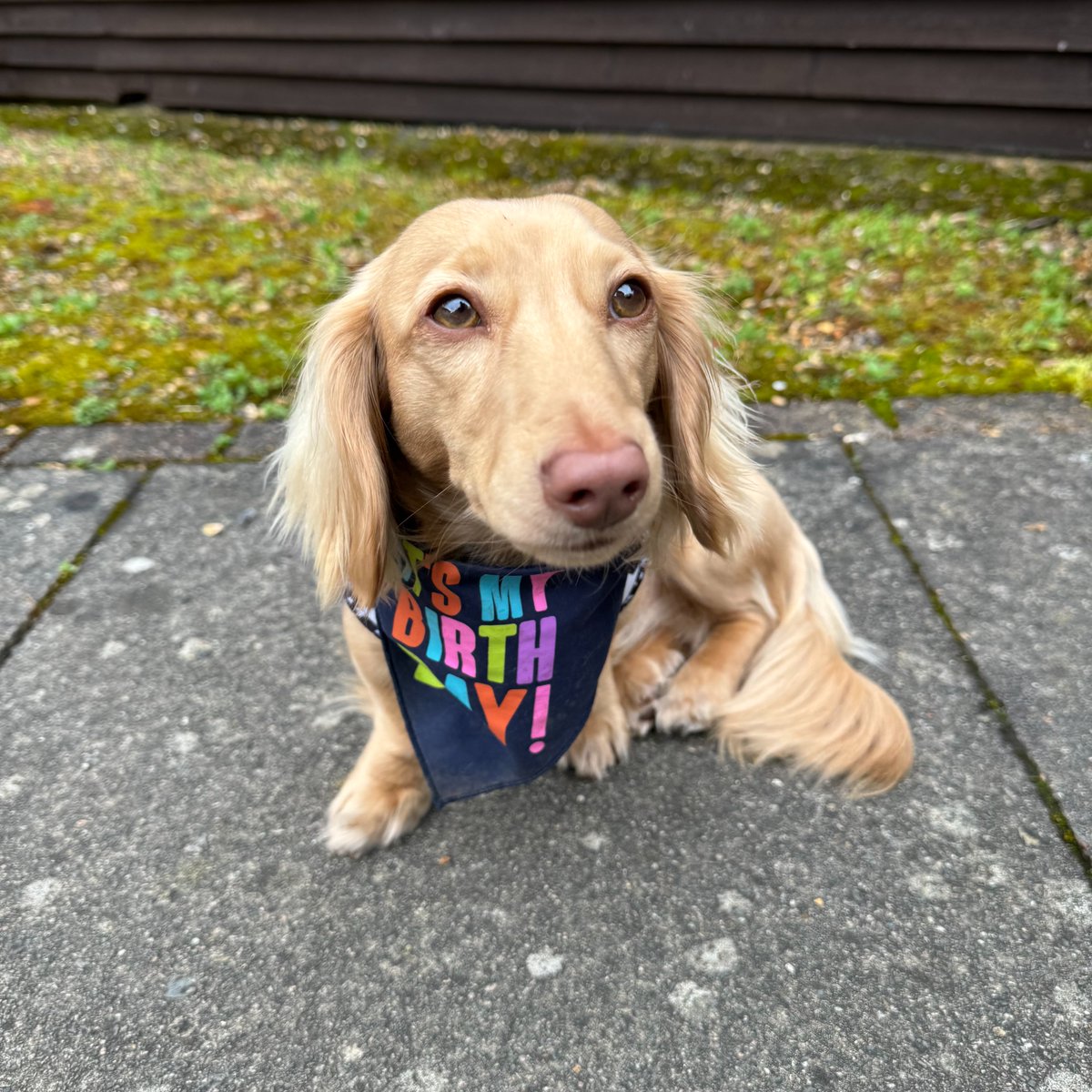 DreamingFish tweet media