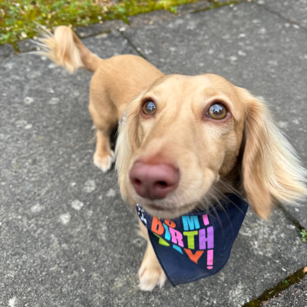 DreamingFish tweet media