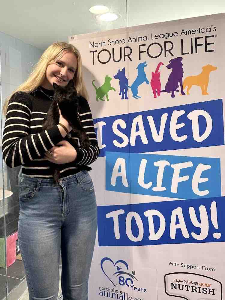 PSPCA's tweet photo. Thanks to our friends at @animalleague, 112 animals across all of our sites are starting their new lives today. ❤️
In total, 61 cats, 48 dogs, and 3 rabbits found their forever homes last week during #TourForLife.
We wish them all nothing but happiness! https://t.co/mVHCKI9puY