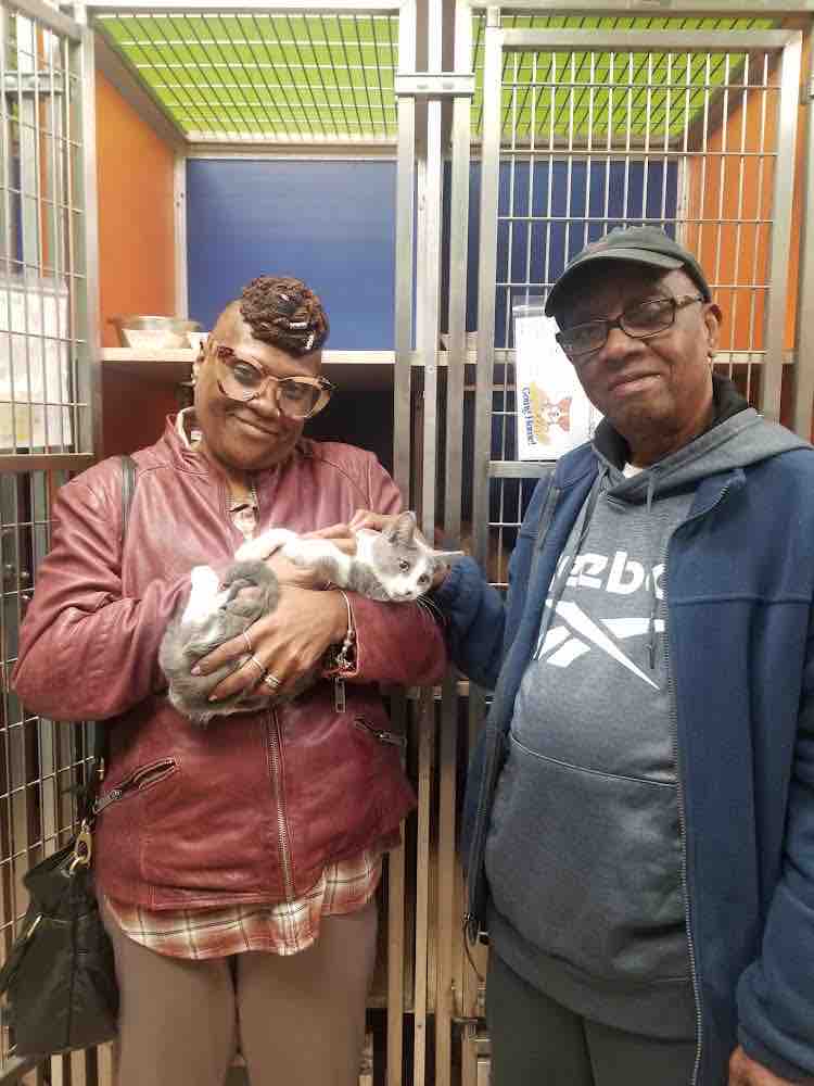 PSPCA's tweet photo. Thanks to our friends at @animalleague, 112 animals across all of our sites are starting their new lives today. ❤️
In total, 61 cats, 48 dogs, and 3 rabbits found their forever homes last week during #TourForLife.
We wish them all nothing but happiness! https://t.co/mVHCKI9puY