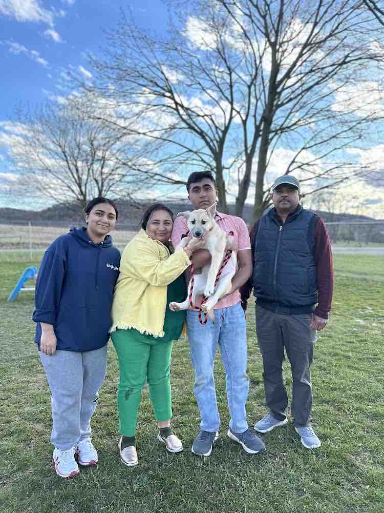 PSPCA's tweet photo. Thanks to our friends at @animalleague, 112 animals across all of our sites are starting their new lives today. ❤️
In total, 61 cats, 48 dogs, and 3 rabbits found their forever homes last week during #TourForLife.
We wish them all nothing but happiness! https://t.co/mVHCKI9puY