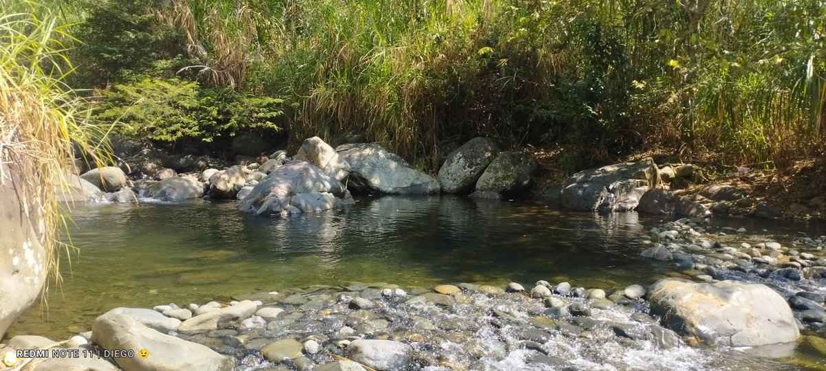81_diegofer's tweet photo. Por acá en el río ya, si nos ven nos saludan 😁 https://t.co/pyjsO7mkuU