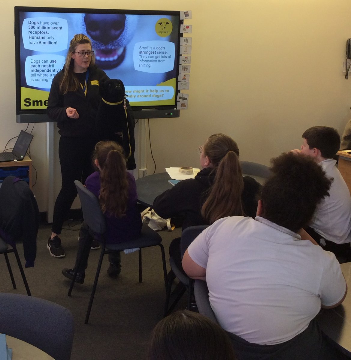 Y5 & 6 Bridgewater Park Primary School (@bwpy56) on Twitter photo Thank you Bethan <a href="/DogsTrust/">Dogs Trust ππΆ</a> for teaching us all about staying safe around dogs and some fascinating facts about dog's senses. #BWPcollaborate Thank you Bethan <a href="/DogsTrust/">Dogs Trust ππΆ</a> for teaching us all about staying safe around dogs and some fascinating facts about dog's senses. #BWPcollaborate