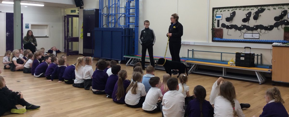 Bridgewater Park Primary School Castlefields (@bcastlefields) on Twitter photo Amazing work from <a href="/DogsTrust/">Dogs Trust ππΆ</a> ! All our students at Bridgewater Park now know how to stay safe around dogs and take better care of our own lovely pets. Amazing work from <a href="/DogsTrust/">Dogs Trust ππΆ</a> ! All our students at Bridgewater Park now know how to stay safe around dogs and take better care of our own lovely pets.