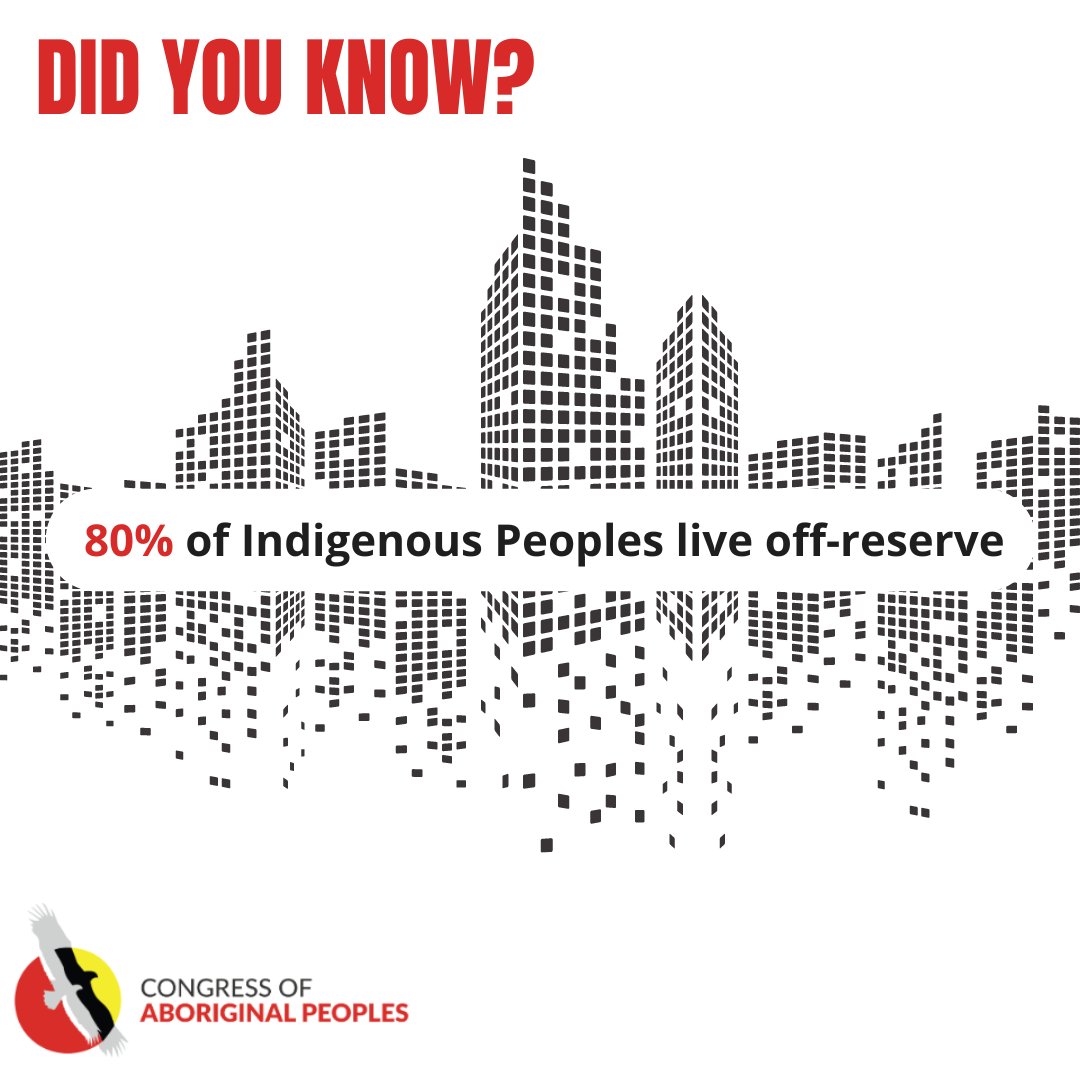 Did you know that 80% of Indigenous Peoples live off-reserve?

Still, less than 50% of federal Indigenous government programs are available to Indigenous Peoples living off-reserve.

#IndigenousPeoples #IndigenousCommunity #SupportIndigenous #cdnpoli #Ottawa #Canada