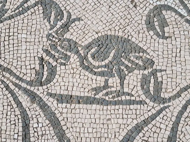 Here's a nice bird from Ostia for #mosaicmonday 😁 📷Steven Cockings