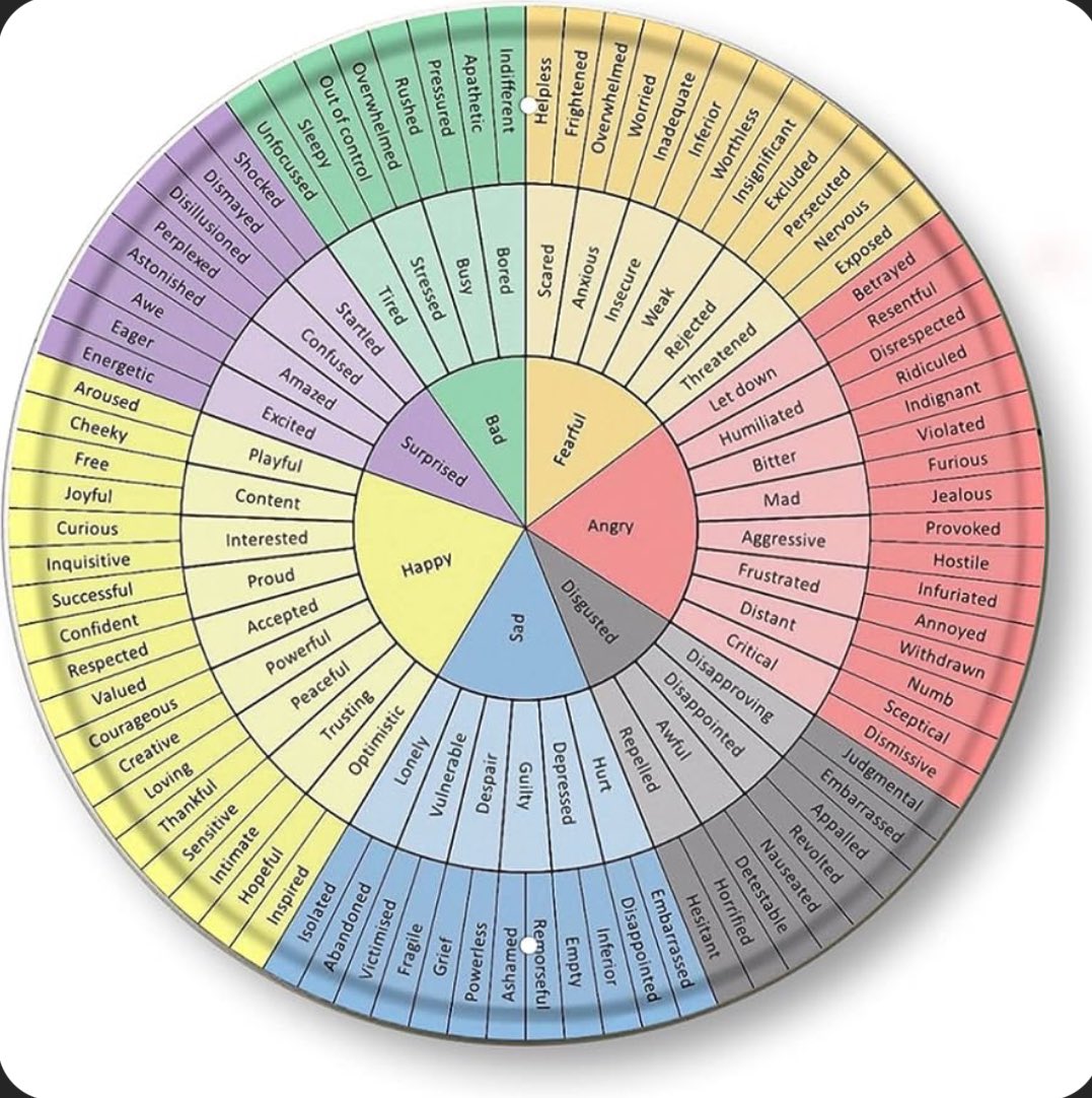 Hassan BencheqrounMD tweet media