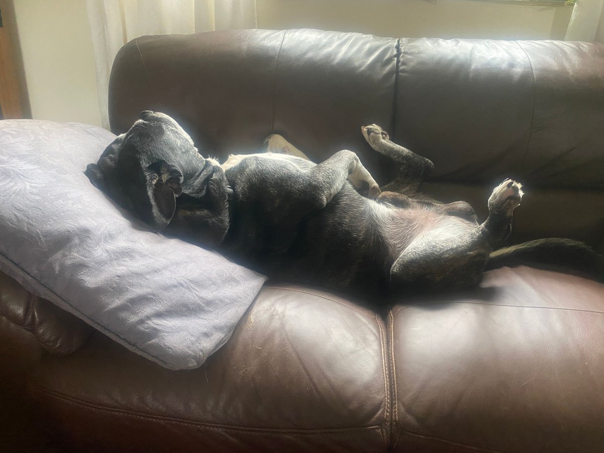 VirtualAstro tweet media