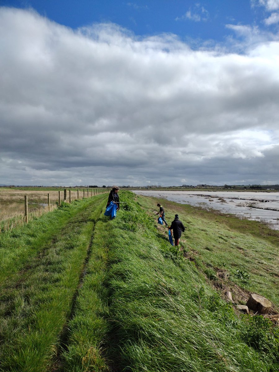 Thank you to the volunteers who litter picked on Sunday for #SpruceUpTheSevern - shown here at work on the Parrett banks at low tide.  
Plastic, polystyrene, bottles, cans and fishing tackle were also collected from the edge of the estuary at Bridgwater Bay NNR. @SevernEstuary