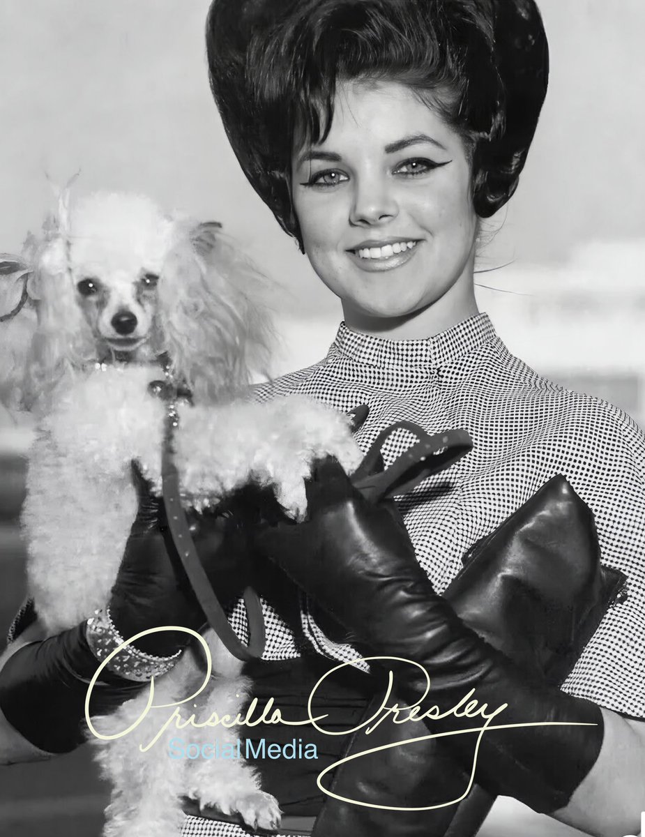 Elvis told me he had a surprise for me when I came to Memphis to stay. He presented me with a darling little Poodle that I name Honey. He was very sweet and so loving. He followed me everywhere. He also traveled with me. This is us as we just landed in Memphis from LA. Little did