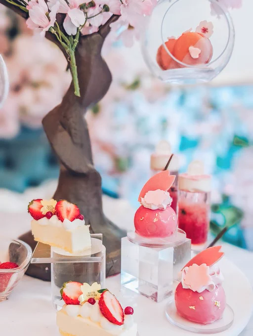 we went to *that* cafe for sakura afternoon tea  