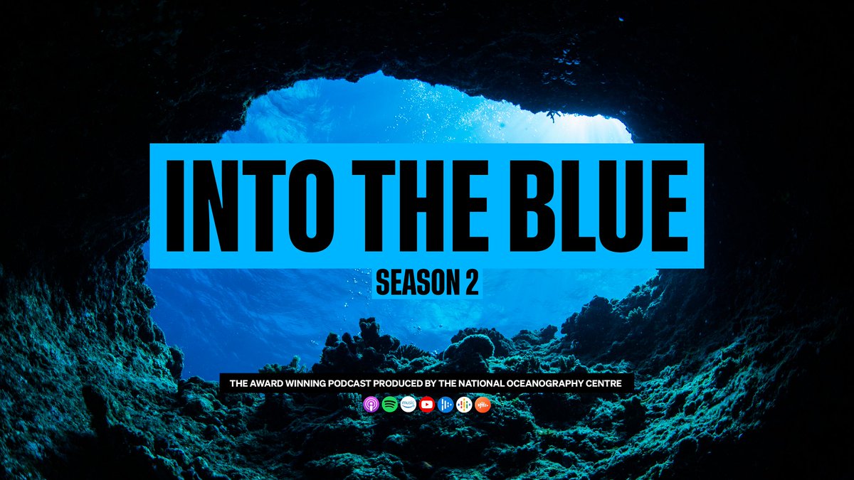 Listeners and viewers of #NOCIntoTheBlue... we want to hear from YOU! 📣

We want to know your thoughts and opinions on season two in order to help us deliver bigger and better future seasons.

Take the survey here ✅ brnw.ch/21wHYFD
