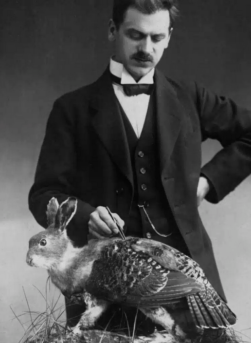 ⟠ Loric Coffee ⟠ 🦇🔊☕ tweet media