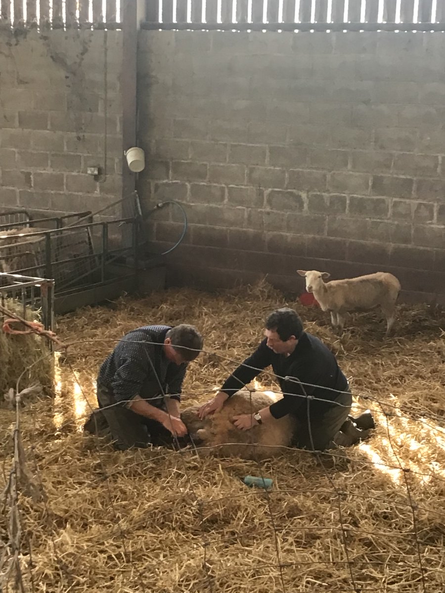 Garway School tweet media