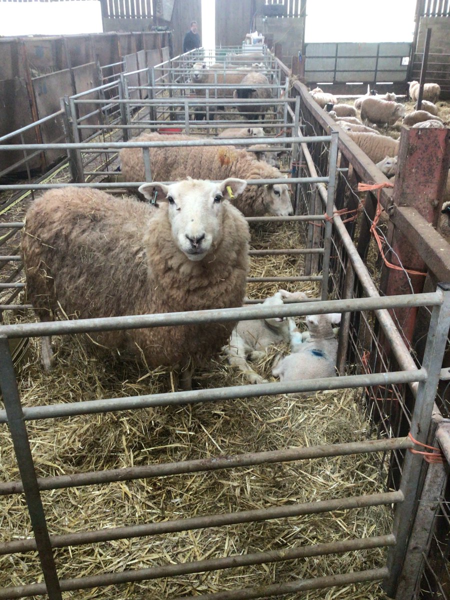 Garway School tweet media