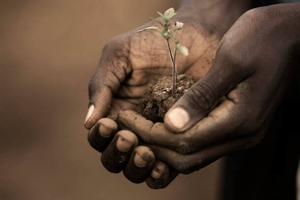 OumaPajok's tweet photo. Leave a mark,
Grow a Tree. https://t.co/LilUFoqenW