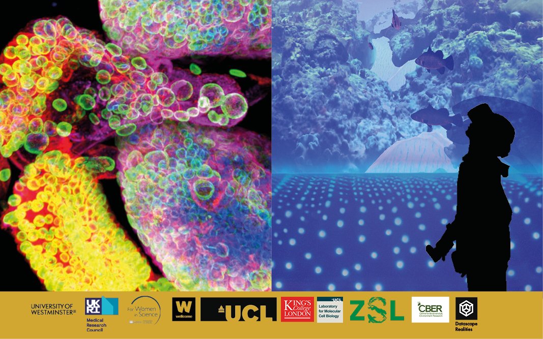 Join us on May 9 for an immersive experience at the @sciencemuseum Lates! An exciting collaboration between @datascape_real, @UCLLifeSciences and @KingsCollegeLon researchers, showing damage and repair in viruses, cells, organs and coral reefs! To book: bit.ly/3TreWZT