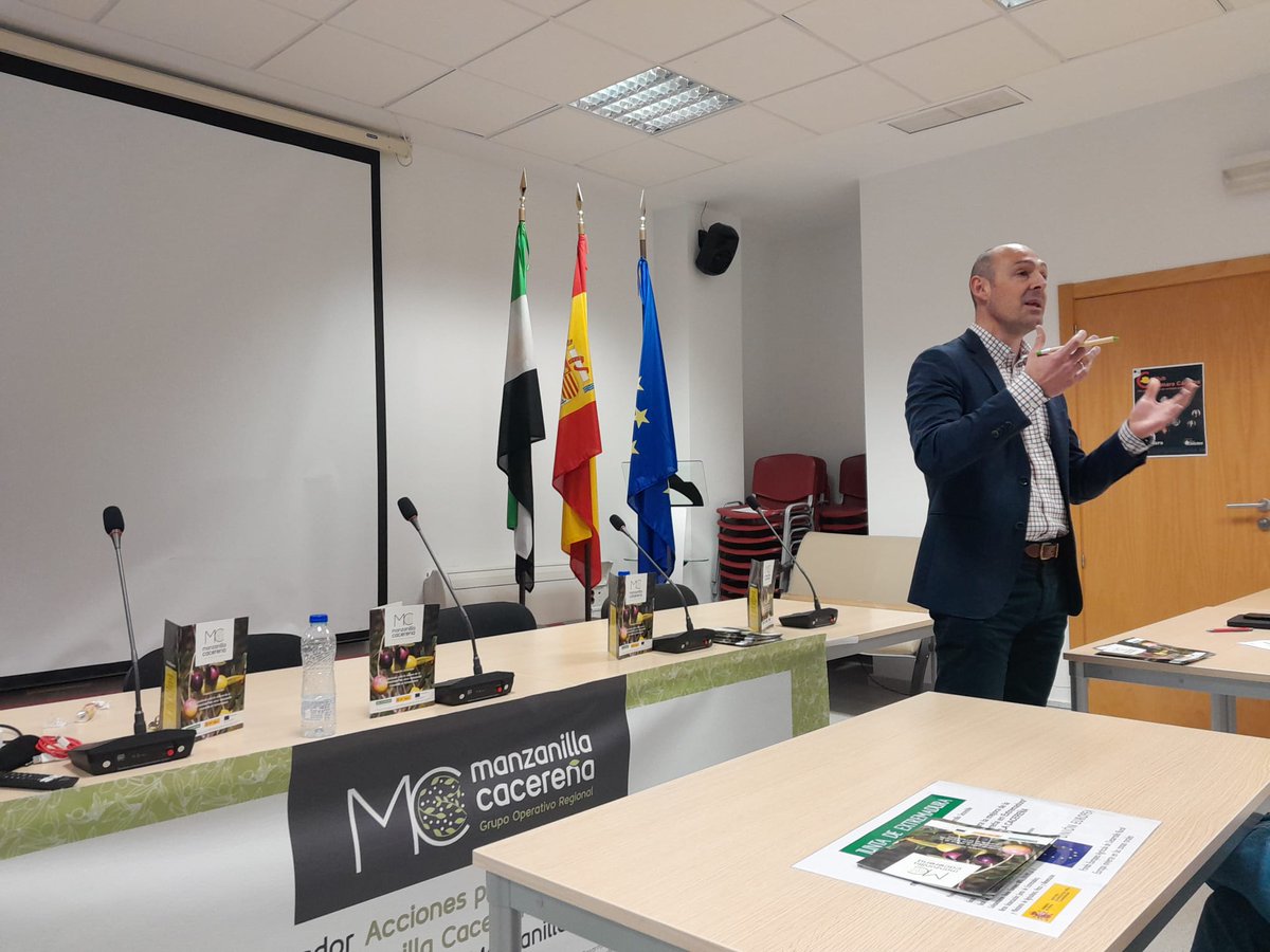 Jornada divulgativa del del proyecto innovador 'Acciones para la mejora de la rentabilidad del #olivar manzanilla cacereña en Extremadura' del #GrupoOperativo #MANZANILLACACEREÑA