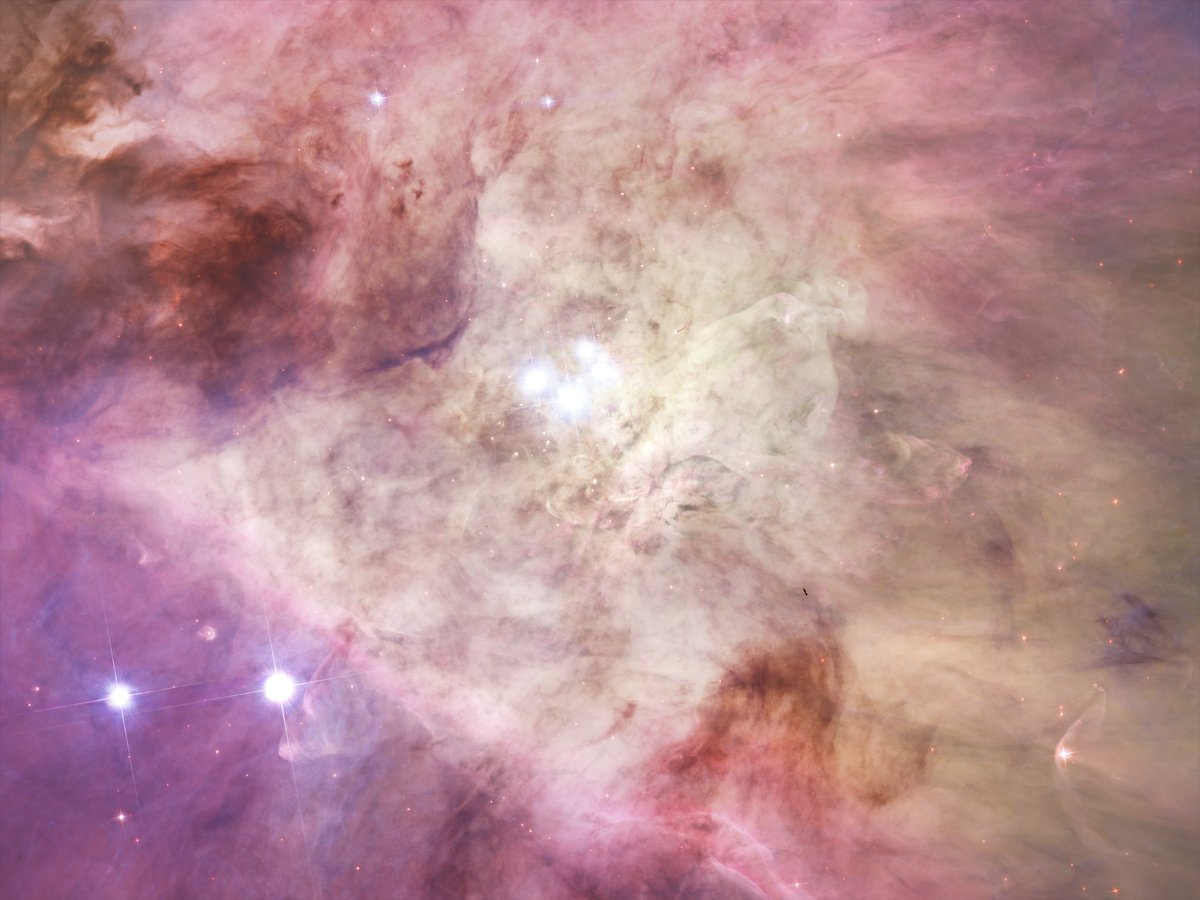 Need a “pink” me up? Gaze at this section of the Orion Nebula as observed by Hubble. This piece is just one part of a large mosaic of the nebula that was released in 2006, which revealed never-before-seen details: bit.ly/4bCC3rG