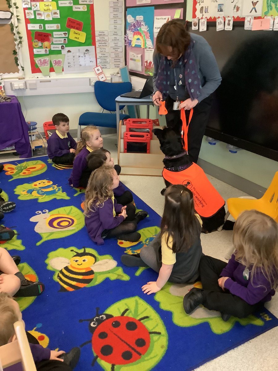 Tal visited the Reception class today. We talked about how to be ‘Tal ready’ and how to act when he is in our classroom. We sang him a new song we have been learning and a Welsh song. We can’t wait for him to visit again! <a href="/NCSchoolDog/">Taliesin Smith</a>