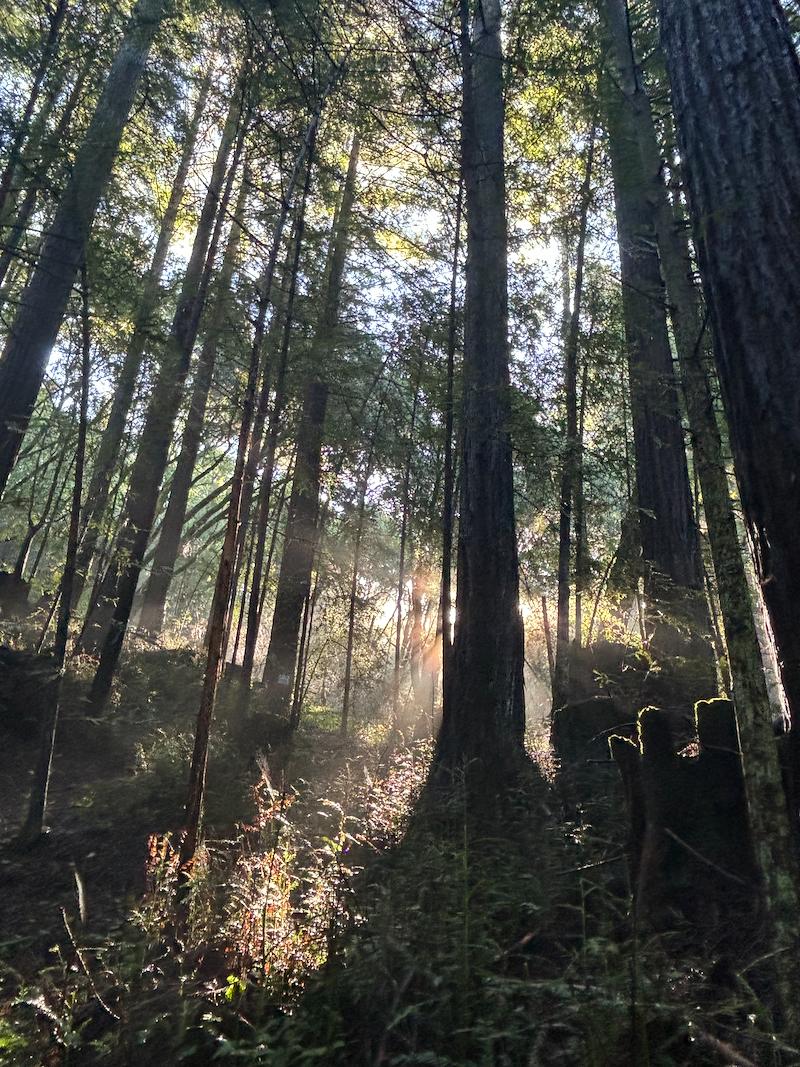 Jonathan Duarte tweet media