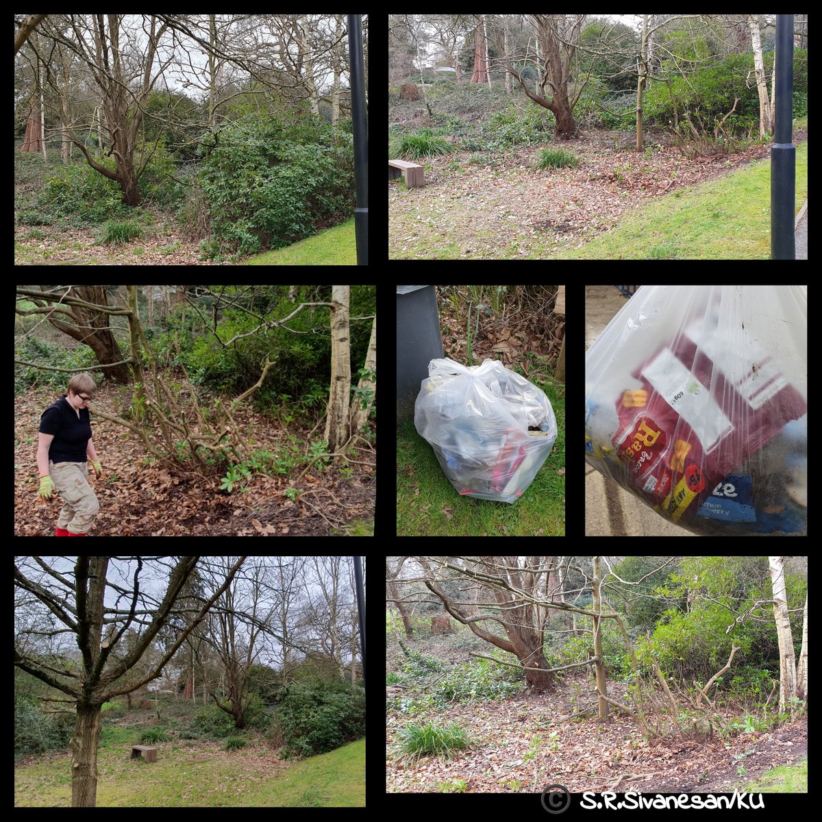 1/2 An amazing day with the vols inc. CITO volunteers from the @GoGeocaching community some of whom are @kingstonalumni as well as @KingstonECE staff & a school student +her mum. Amazing efforts by the three teams working in 3 areas clearing invasive plants from our woods 🤩