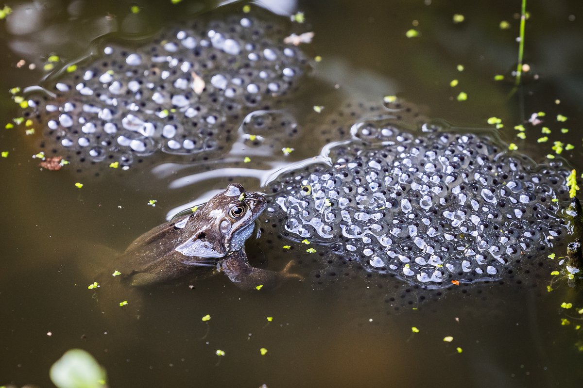 First Light Photo tweet media