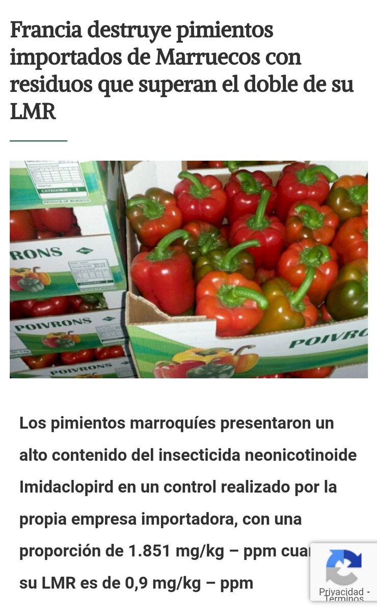 🔴SEGUIMOS PARA BINGO. 
👇👇👇👇👇