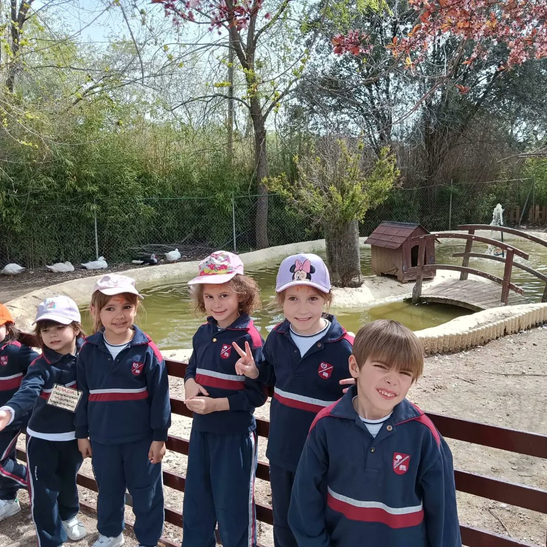 CValdefuentes's tweet photo. ¡Día de granja! En 3º de Infantil empezamos la semana con una excursión a la granja escuela, disfrutando del día con los animales y con muchas actividades.
#Educare #Educar #FormamosPersonas https://t.co/4N6IOv0N9T