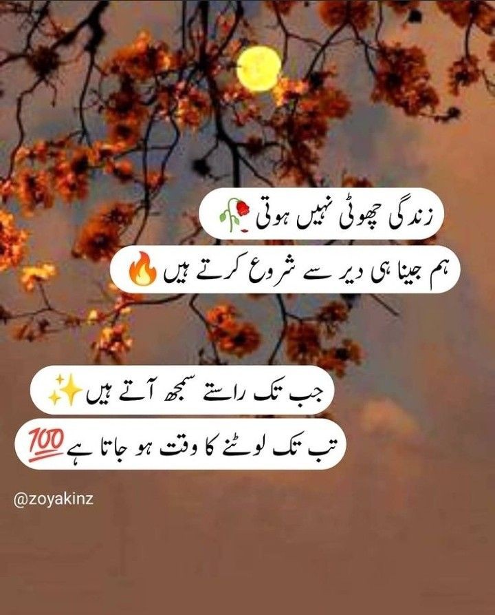 السلام عليكم🌈 @gul115m @950nk @MaidahMuhammad @shayezakhan @Sahil_Anwar87 @saraanwar45 @_honyA_Pti @KhusiKiBabyDoll @hi03708476 @Be_Classy4 @MTS__Afshan @KhalidaAbid14 @drtu01 @Chuchaji @khansahib313 @Shayeza_khan @shafaq_mirza @Sanaaaaa00 @MirhaAfridi @MQ_786 @LovePak2371