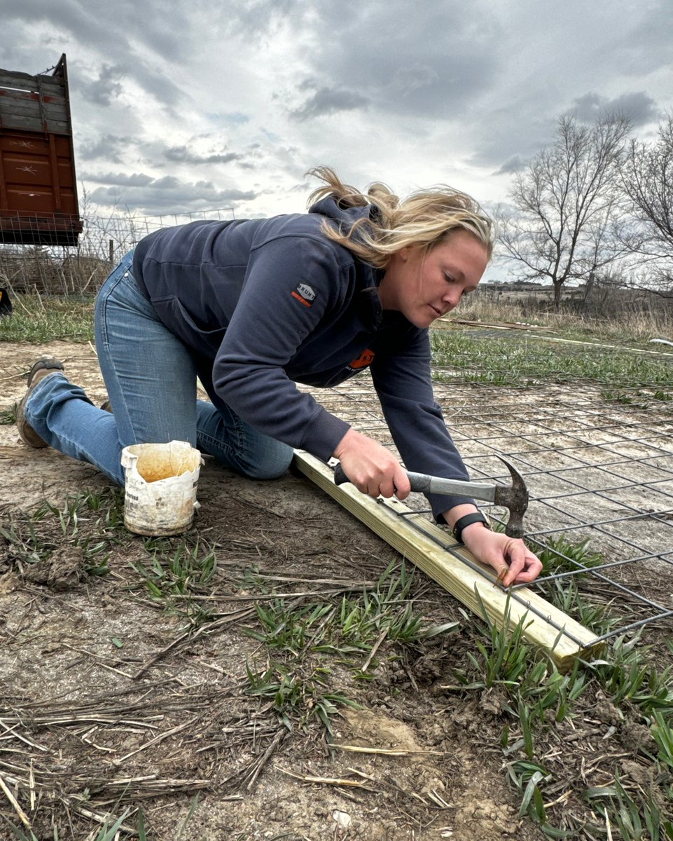 FemaleRancher's tweet photo. I'm currently working on a new project for my farm buddies. Can you guess what it might be? Stay tuned for the big reveal! #FarmLife #NewProjectInProgress #midwest #modeling #agriculture #trucking #peterbilt #corn #soybeans #pivot #irrigation #farmgirl ▶️ https://t.co/10OqYdz6wV https://t.co/4EdEst7cKY