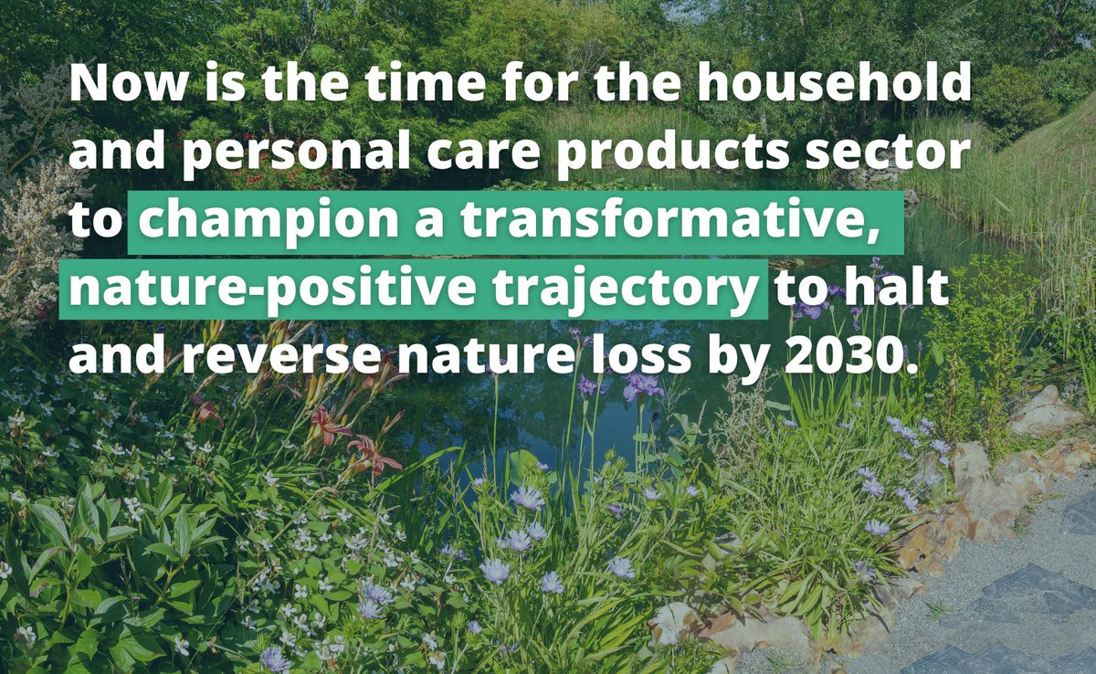 🫧 The Household & Personal Care Products sector is highly dependent on nature. Find out what businesses can do to contribute to a #NaturePositive future: businessfornature.org/sector/househo… 
#NowForNature #NaturePositive #COP16 @BfNCoalition