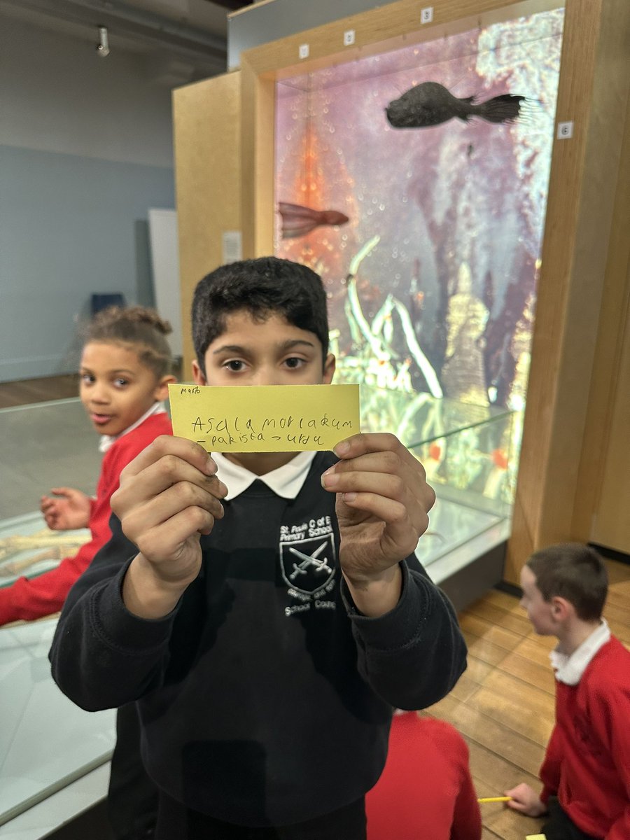 StPaulsPSNewcastle tweet media