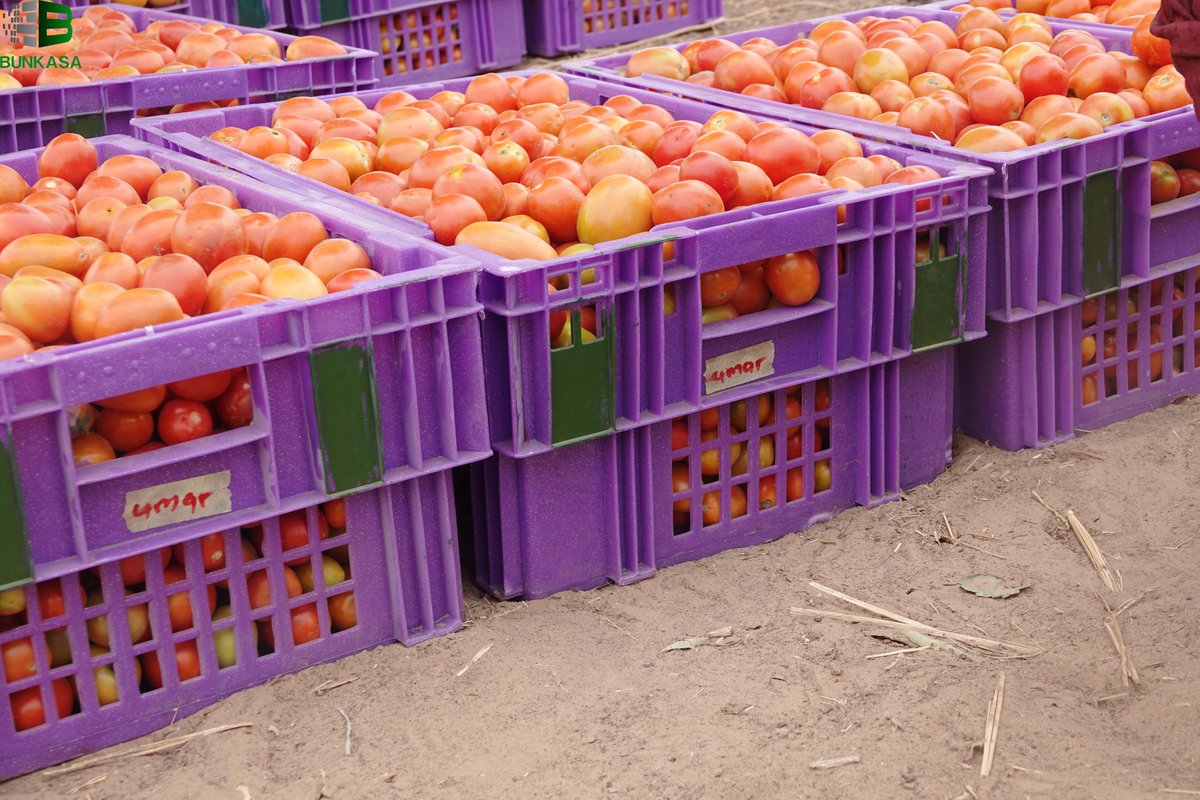Bunkasa Agritech tweet media