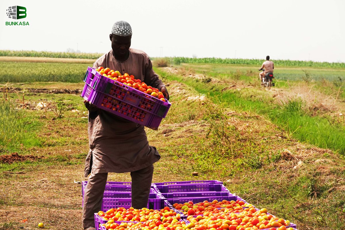 Bunkasa Agritech tweet media