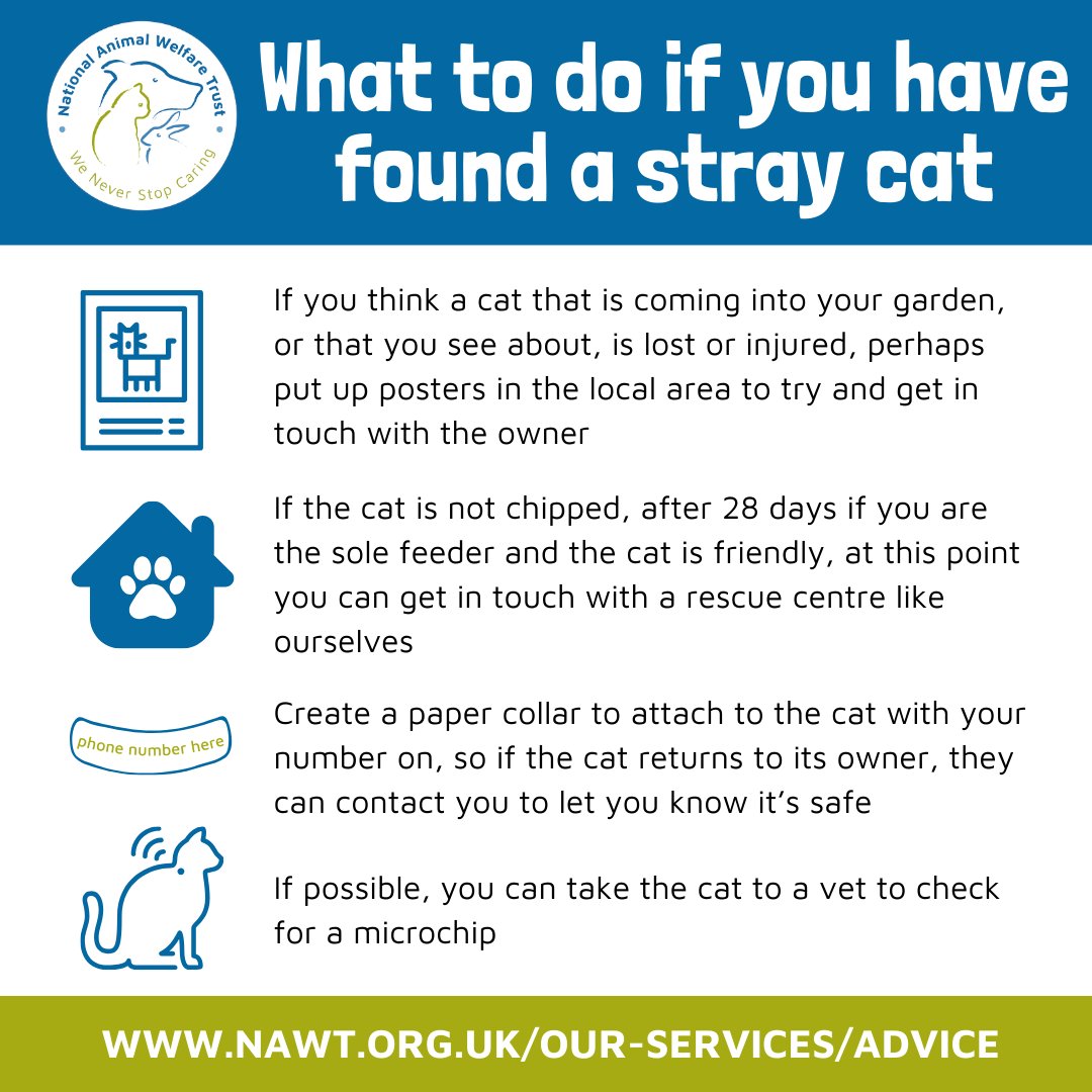 Do you know the signs to look out for if you think you have found a stray cat? 🐱

Please take the time to read through our advice 👇

#PetTheftAwarenessWeek @pettheftaware