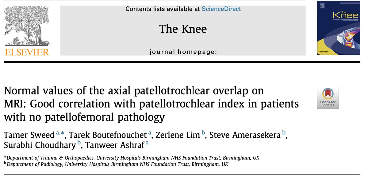 Tamer Sweed tweet media