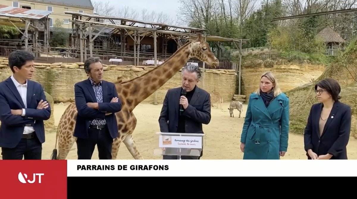 AngersTele tweet media