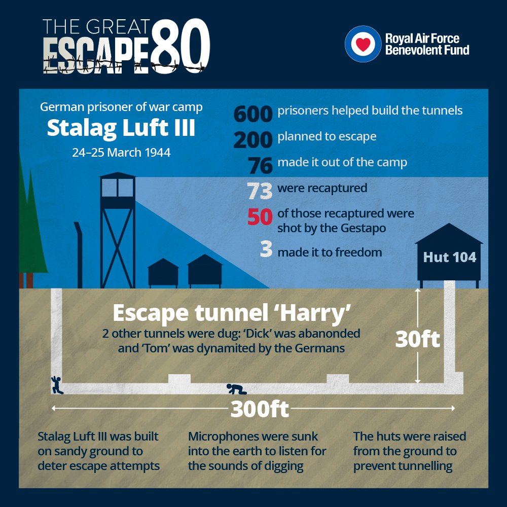 In the lead-up to the 80th anniversary of The Great Escape, head to our Great Escape site for video interviews and in-depth personal accounts from the men that lived through it 👉 rafbf.org/great-escape #TheGreatEscape