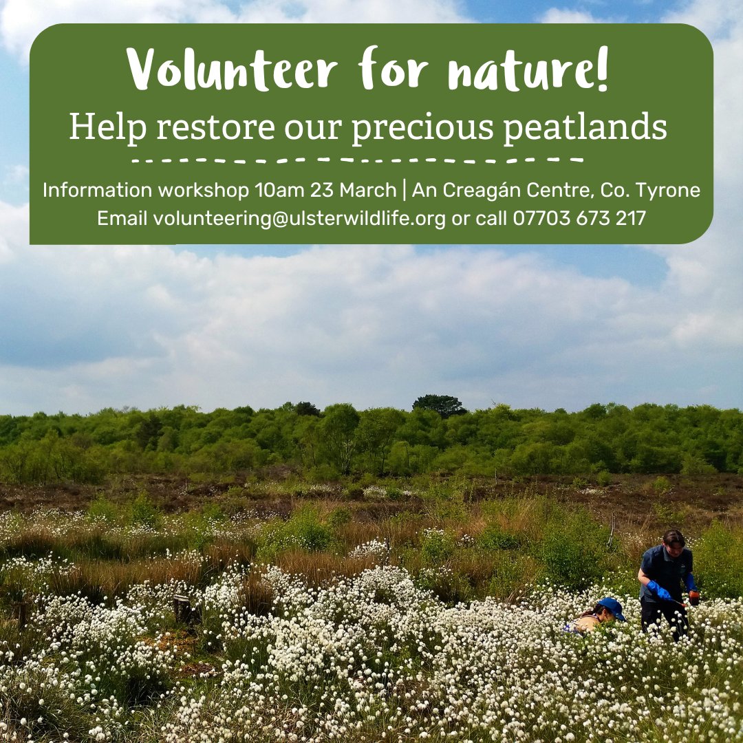 fermanaghomagh's tweet photo. 🌏 @UlsterWildlife is seeking volunteers for Peatland Restoration projects in the South Sperrins area including #Mullaghcarn ASSI

Peatlands are important priority habitats &amp; this work supports our Biodiversity Strategy 2022-2027.

More info👉https://t.co/1DZBiWU6Nu https://t.co/RsjCkpTFDF